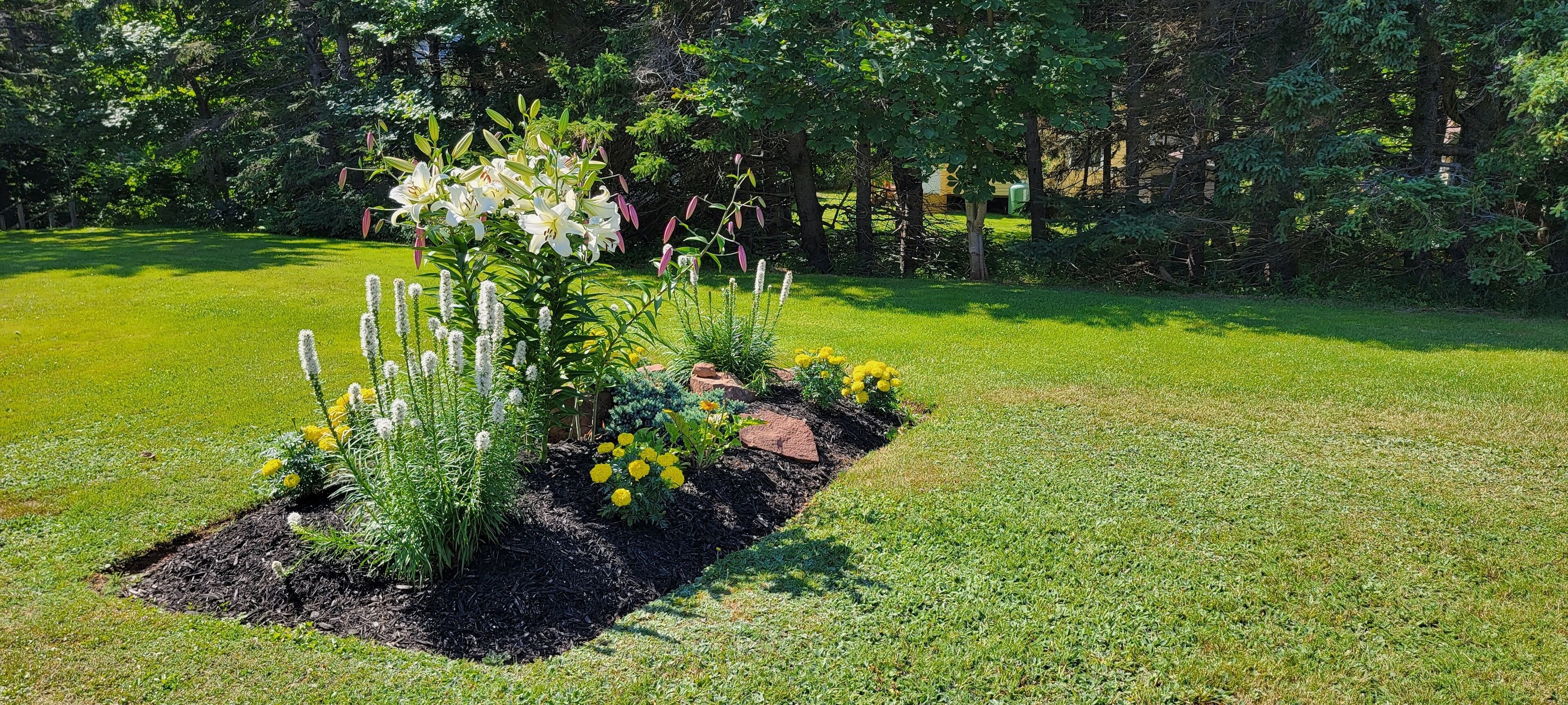 A garden with various plants and flowers, including white lilies and yellow flowers, surrounded by a well-maintained lawn.