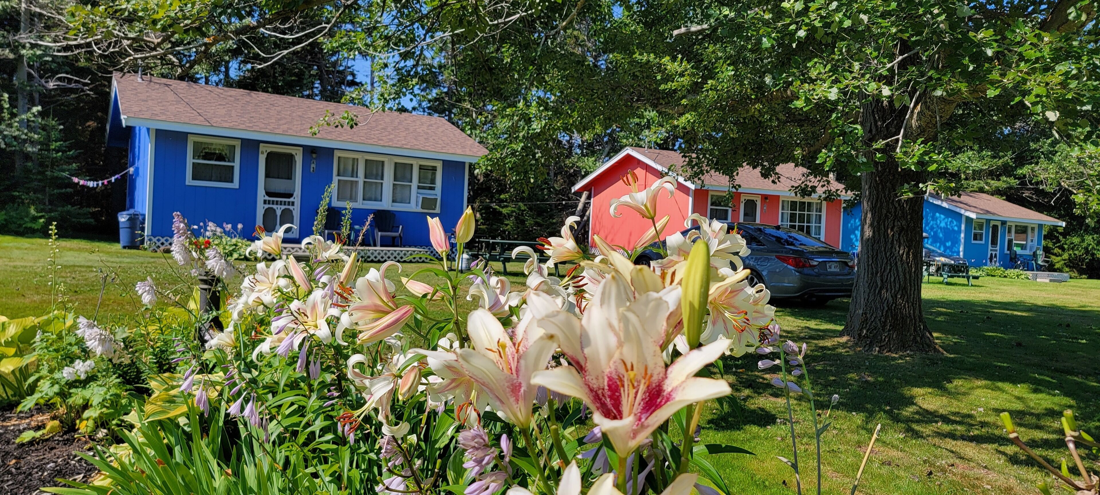 Une maison à l’extérieur bleu avec une nichoir rouge dans le jardin.