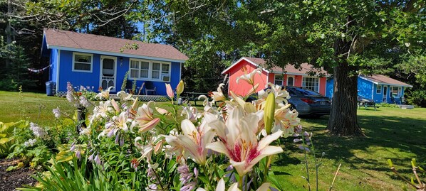 A house with a blue exterior and a red birdhouse in the garden.