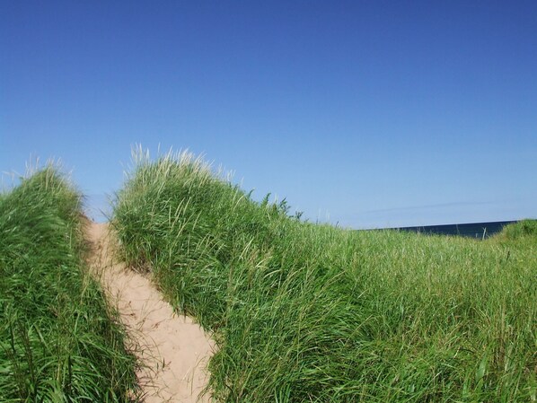 Beach towels - Lyons Cottages - Cottage #6, 3BR Walk to the Beaches of Stanhope National Park! (Stanhope)