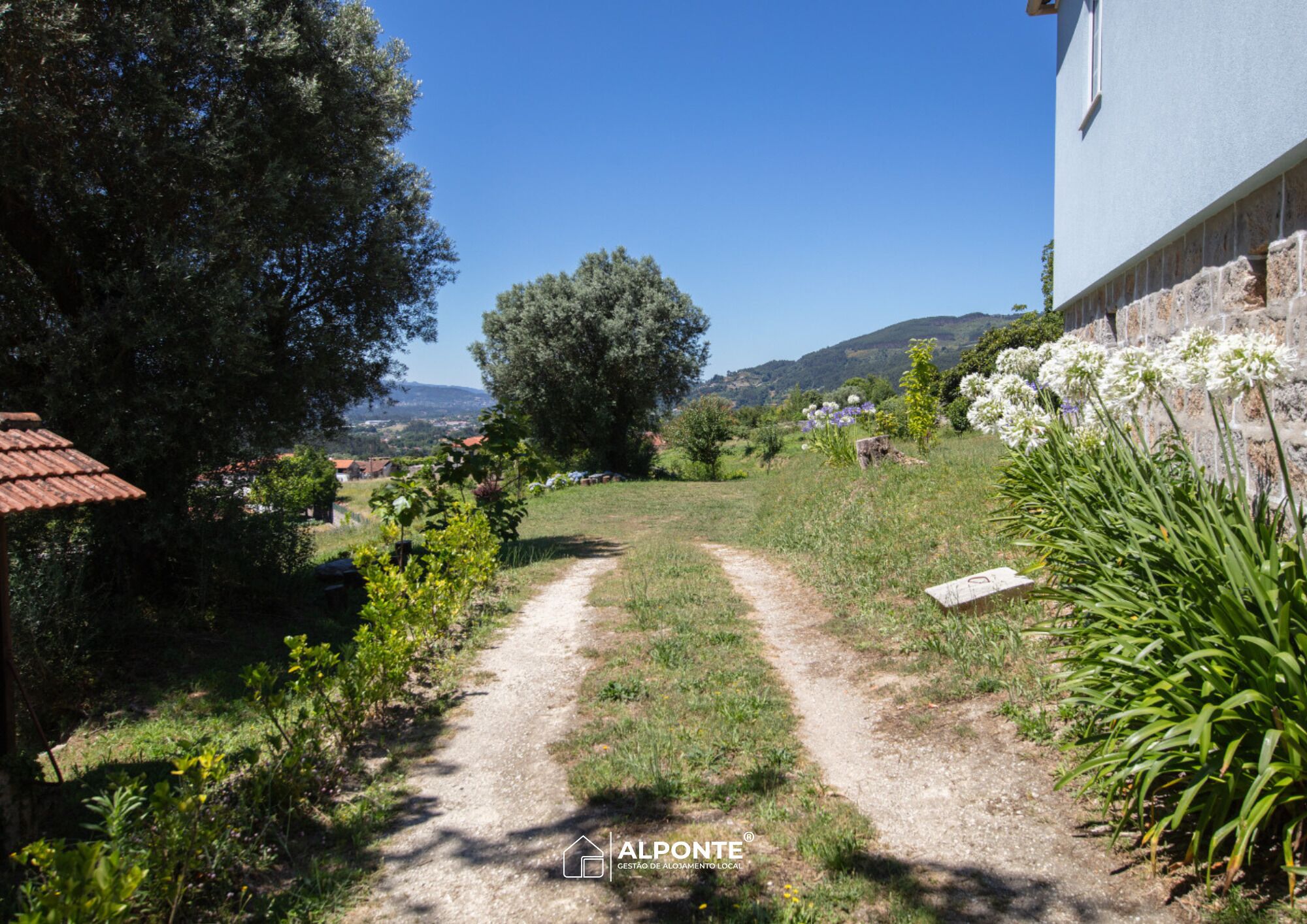 A rural pathway leading to a house with a stone wall and a garden with various plants and flowers.