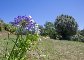 Exterior - Quinta da Costeira - Casa Azul do Limoal (Arcos de Valdevez)