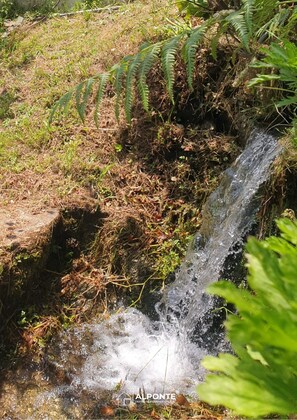 Exterior - Quinta da Costeira - Casa Azul do Limoal (Arcos de Valdevez)