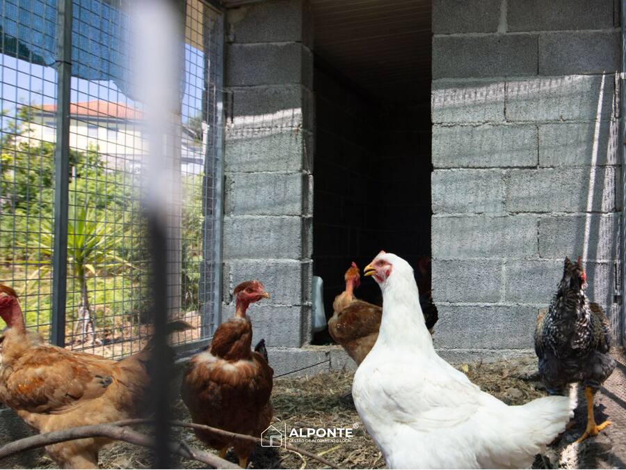Un gallinero con una puerta de metal y un muro de ladrillo.
