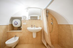Shower, hair dryer, bidet, towels