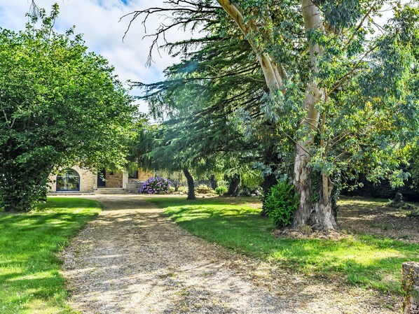 A pathway leading to a stone building with a glass door, surrounded by lush greenery and trees.