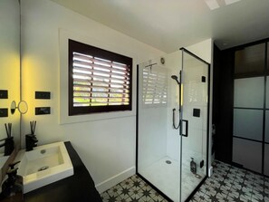 Shower, hair dryer