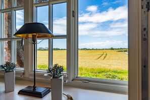 Una habitación con un amplio ventanal con vistas a un campo, una lámpara y dos plantas en macetas.