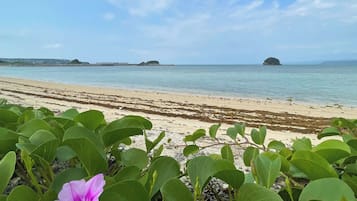 海滩