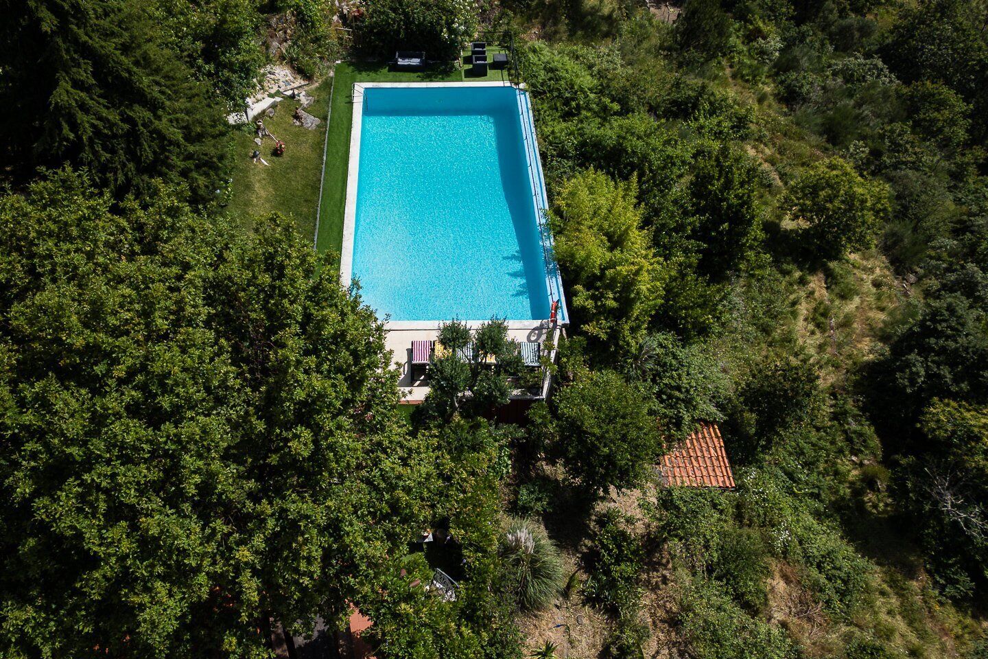 Vista aerea di una piscina rettangolare immersa nel verde, con un piccolo edificio e alcuni sedili da esterno.
