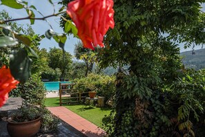 Property grounds - Casa Museu da Geada - Rural Hotel (Cinfães)