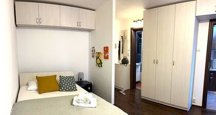 Studio Victoriei - Central Location with AC