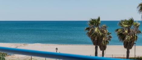 A beach view with palm trees, a fence, and a clear sky.