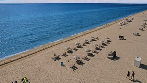 A beach with rows of sun loungers and umbrellas, a clear blue sky, and the ocean in the background. - Cozy Ocean View Condo / Beach Service & Pool /808 (Miami Beach)