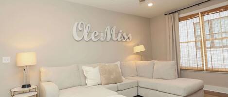 Fernseher, Arbeitsbereiche