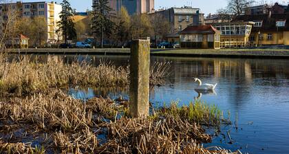 Oro Przy Star wce Gara Wifi