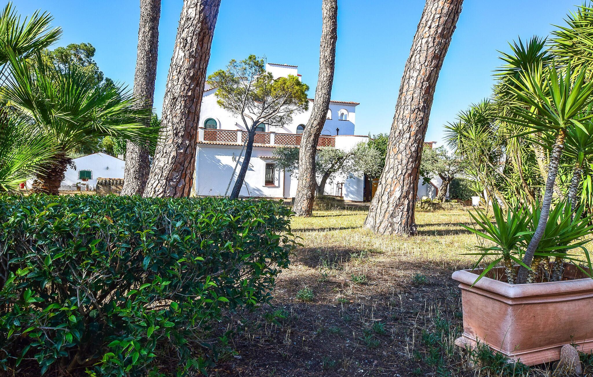 Àrea exterior de l'allotjament