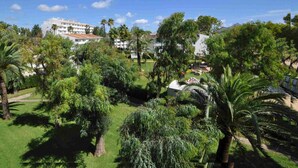 A lush green landscape with palm trees and a building in the background. - Beachfront · Terrace · Adults Only (Alcudia - Puerto de Alcudia)