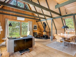 Fernseher, Kamin