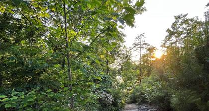 Smith Lake Luxury Home w/ Private Dock, Kayaks, Hot Tub, Fire Pit, Grill, & More