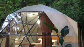 A dome-shaped tent with a glass front, wooden interior, and a bed with pillows. - EVALAND GLAMPING RESORT (Ardesen)