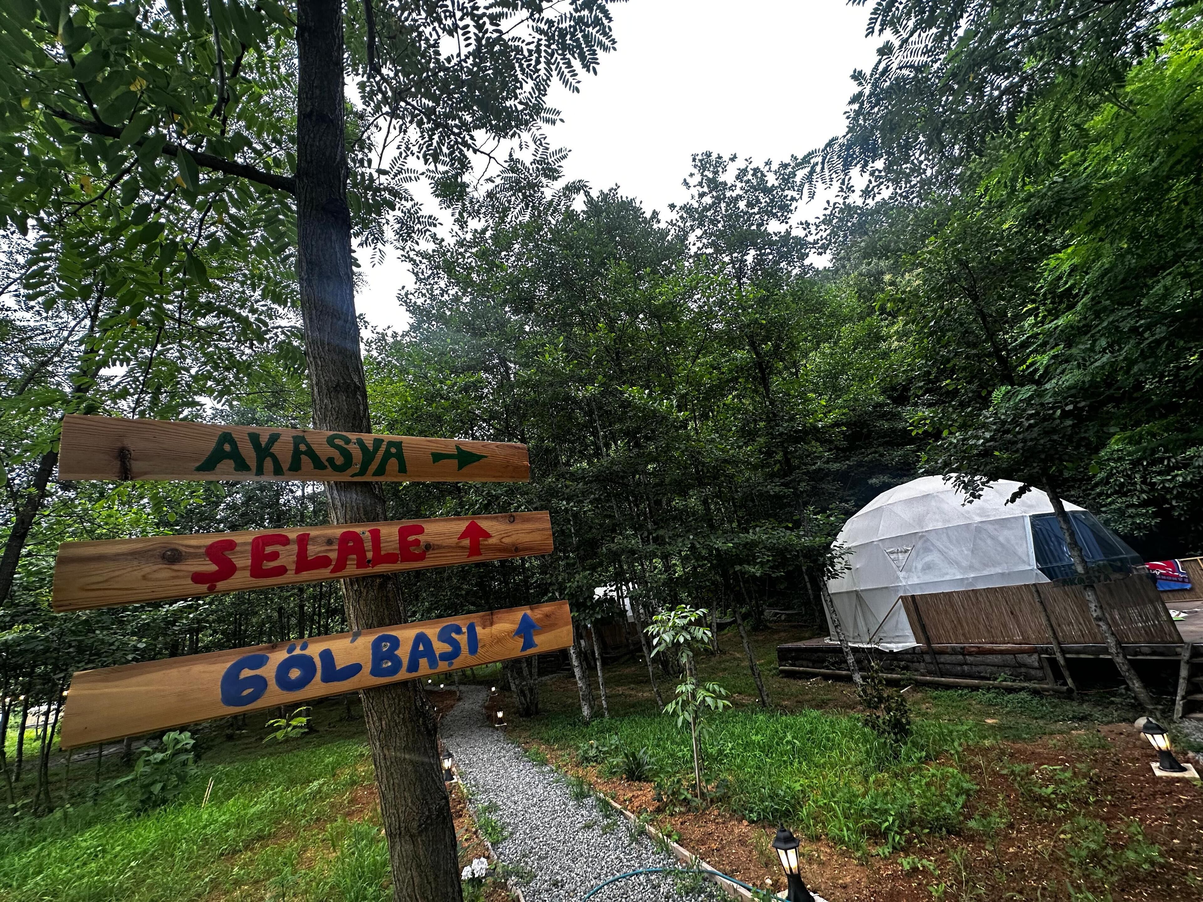 Un cartel de madera con indicaciones hacia 'Akasa', 'Selale' y 'Göl Bası'.