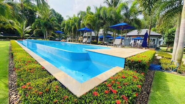 Une piscine rectangulaire à l’eau d’un bleu limpide, entourée de parterres de fleurs bien entretenus et de palmiers.