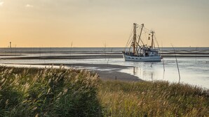A boat on calm water with a flat horizon and sparse vegetation in the foreground.