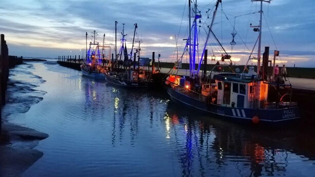 A harbor with several fishing boats docked, featuring masts and rigging.