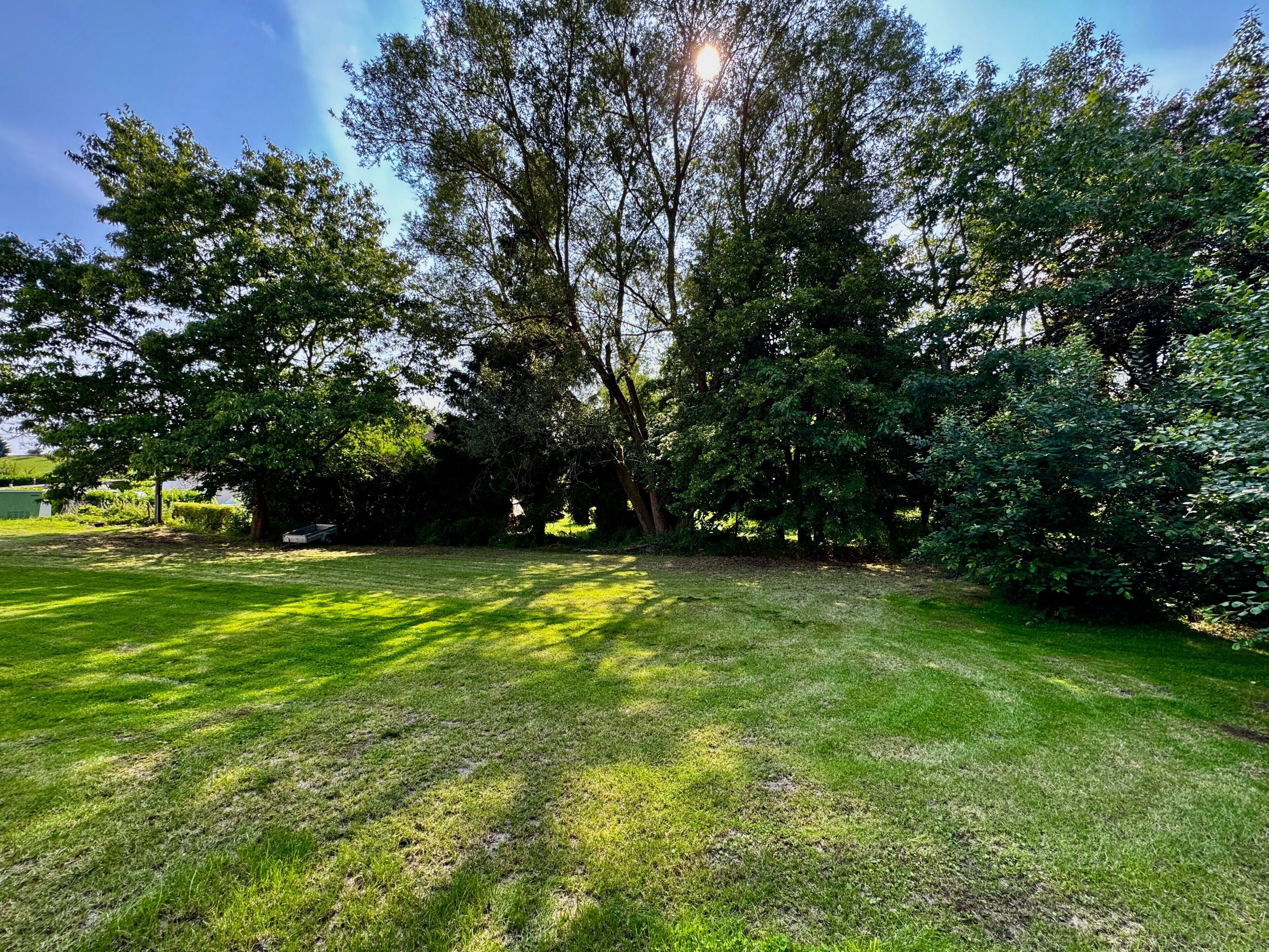 A grassy outdoor area with trees and a clear sky.