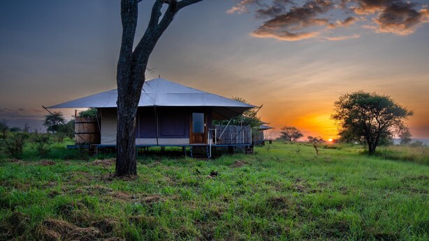 Une tente de safari dotée d’un grand espace ouvert, entourée d’arbres et d’herbe, sous un ciel embrasé par le coucher du soleil.