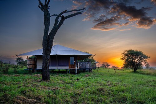 Arukore Simba Camp-Serengeti