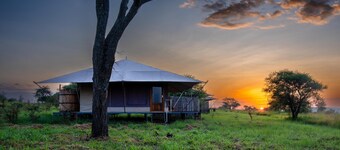 Arukore Simba Camp-Serengeti