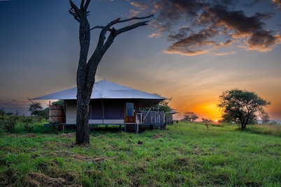 Arukore Simba Camp-Serengeti