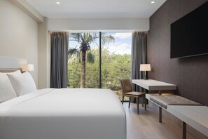 Habitación Deluxe, 1 cama King size y sofá cama, vista a la ciudad | Escritorio, espacio para trabajar con laptop y insonorización 