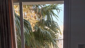 Vista a través de un cristal corredera con una palmera y una piscina al fondo.