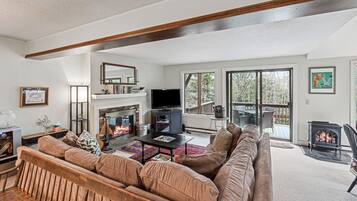 TV, fireplace, video games, books