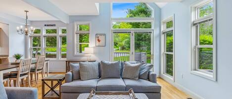 Televisión, chimenea y libros