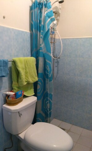 Serviettes fournies, savon, papier toilette