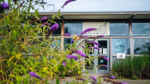 A building with a sign reading "JAPILORIAAMA" and a butterfly decoration on the door. - Holiday home for group with sauna and pool (Havelte)