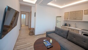 Ein modernes Wohnzimmer mit einer Couch, einem Couchtisch und einer Küchenzeile mit Schränken und einem Spülbecken.