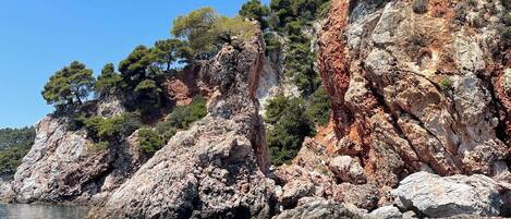 Une côte rocheuse bordée d’une eau turquoise cristalline et d’une végétation luxuriante.