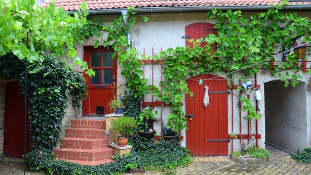 A house with red doors and windows, a brick staircase, and potted plants. - Blüten Remise - Welcome to the flower city of Werder! (Werder (Havel))