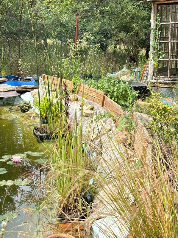 Property grounds - AT THE ENTRANCE TO THE STE BAUME FOREST Entire house, 2500 m2 of land  (Plan-d'Aups-Sainte-Baume)