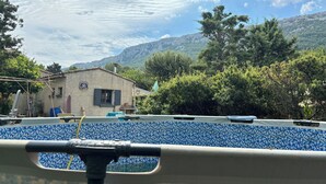Ein Pool mit blauen Fliesen, umgeben von Bäumen und einem Gebäude mit einer blauen Tür.