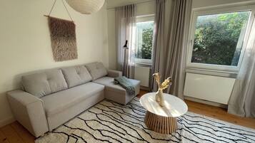 Télévision, cheminée, table de tennis de table, livres