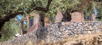 Kleine Landhütte 'mikri Eleni' Inmitten Eines Olivenhains