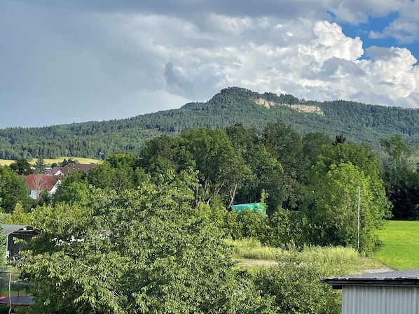 Vista desde la propiedad