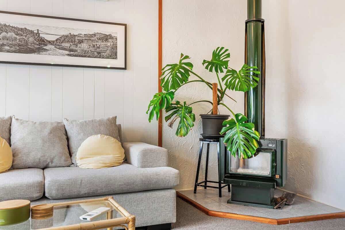 A living room with a sofa, a framed picture, a potted plant, and a wood-burning stove.