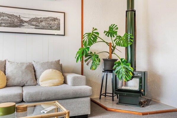 A living room with a sofa, a framed picture on the wall, a potted plant, and a wood-burning stove.